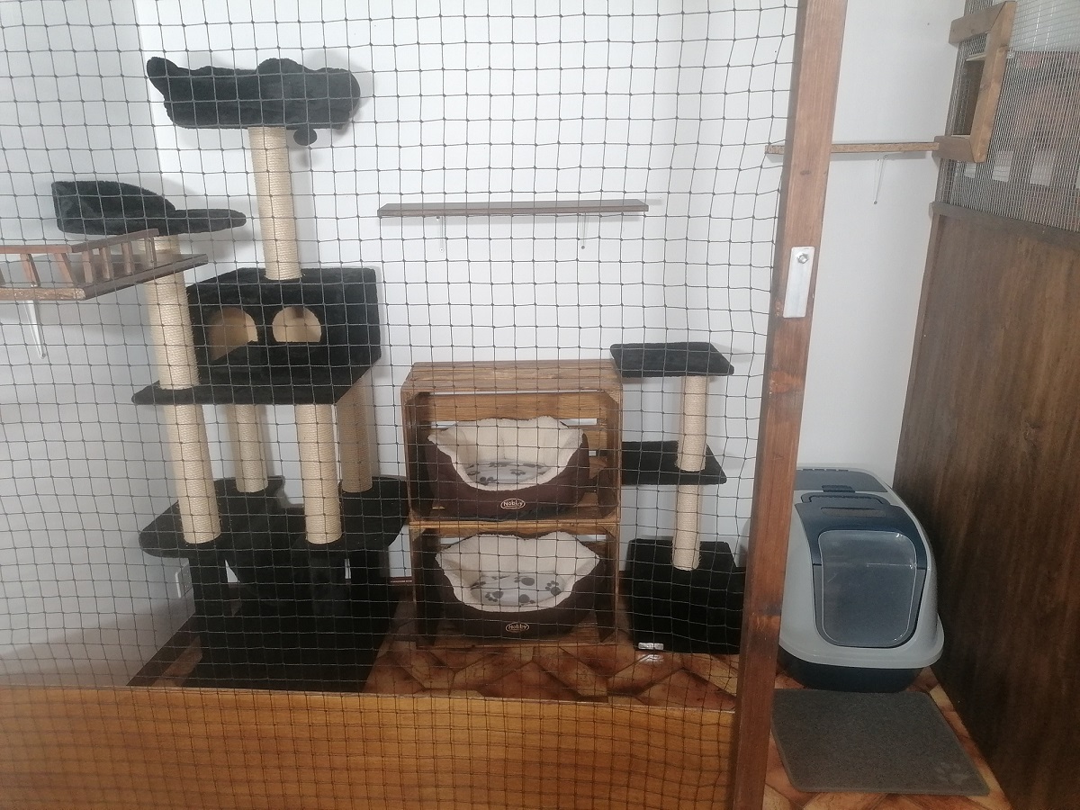 chambre chiillon